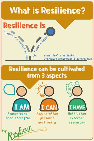 What is Resilience?
