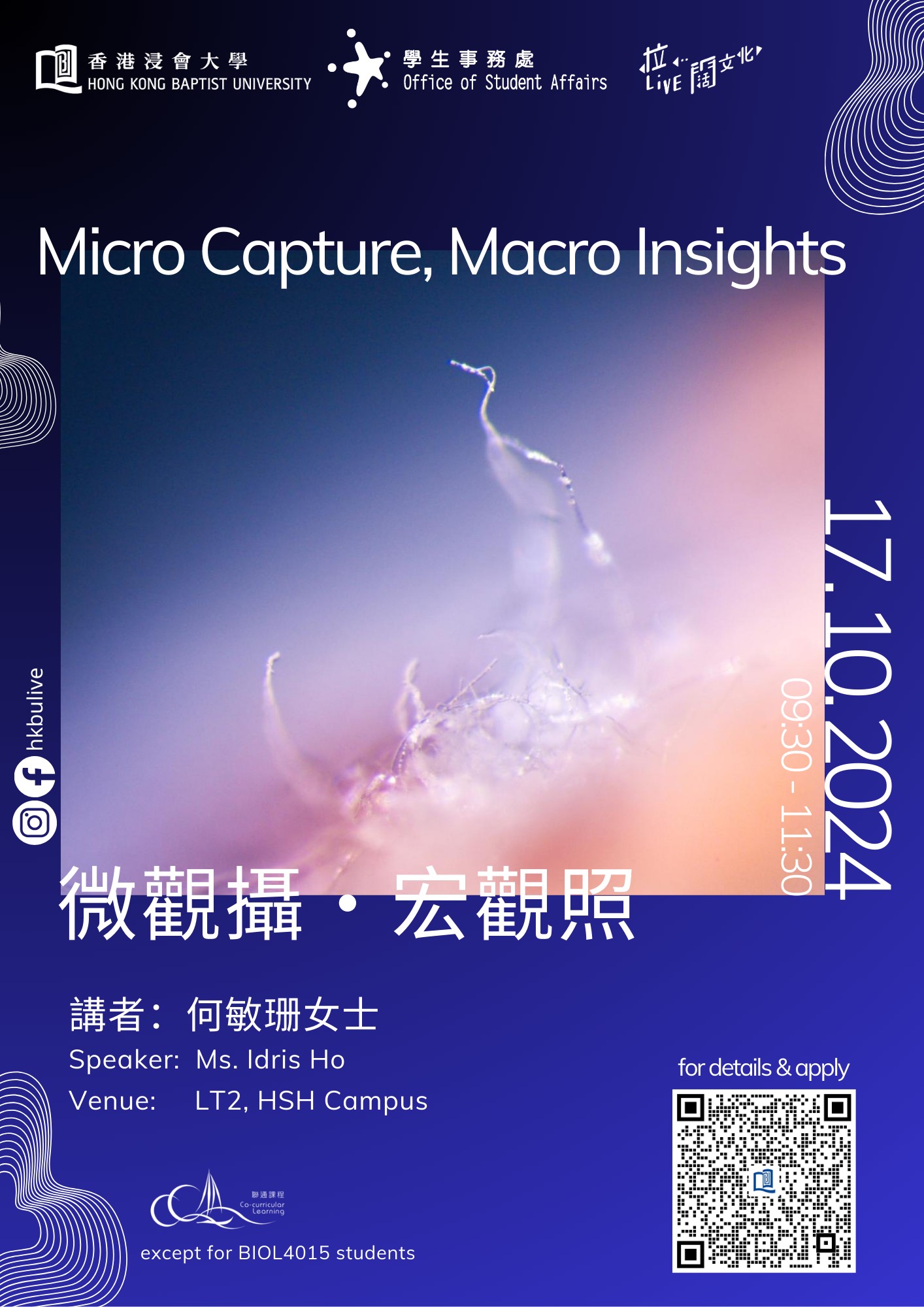 Poster of Micro Capture, Macro Insights