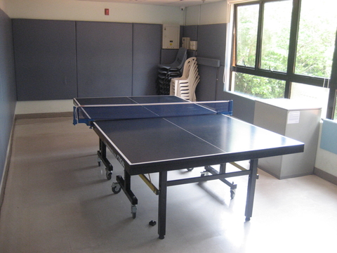 Image of Table Tennis Room