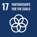 SDG partners
