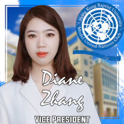 Vice president 